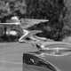 Illustration for article titled Concours on the Green. Eugene, Oregon.